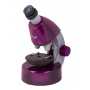 Mikroskop Levenhuk LabZZ M101 Amethyst\Ametyst 40x-640x
